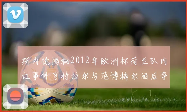 斯内德揭秘2012年欧洲杯荷兰队内讧事件亨特拉尔与范博梅尔酒后争执内幕